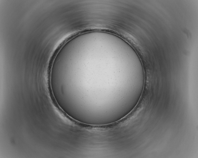 X0000113920942200910090933