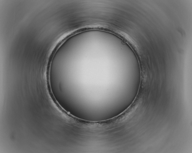X0000113920943200910090933