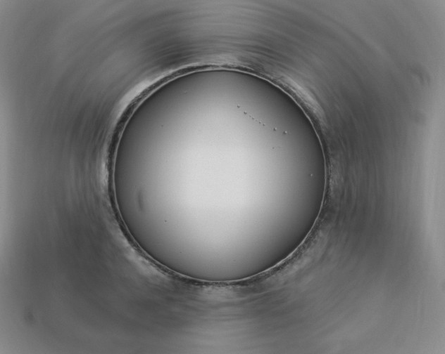 X0000113920944200910090933