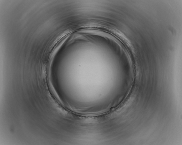 X0000113920945200910090933