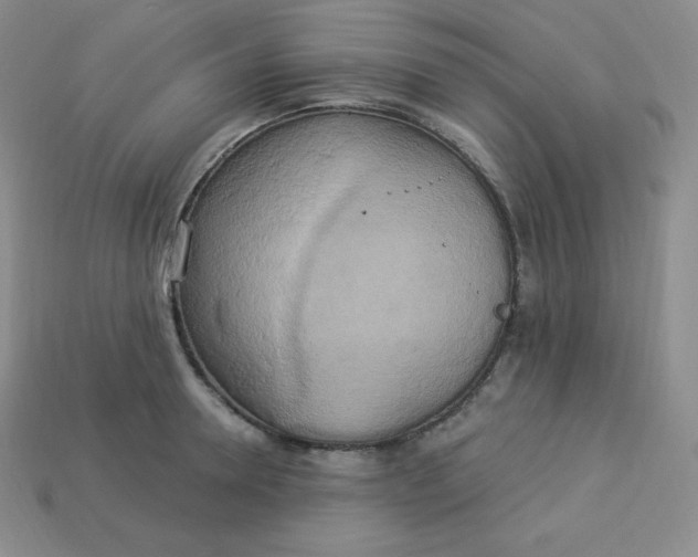X0000113920946200910090933