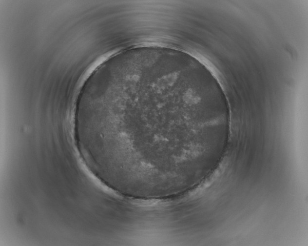 X0000113920949200910090933