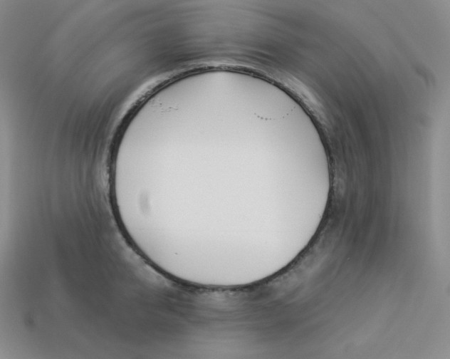 X0000113920950200910090933