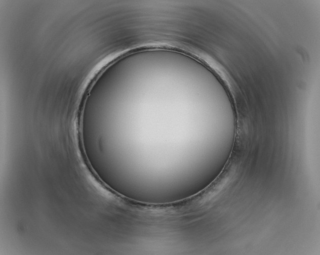 X0000113920951200910090933