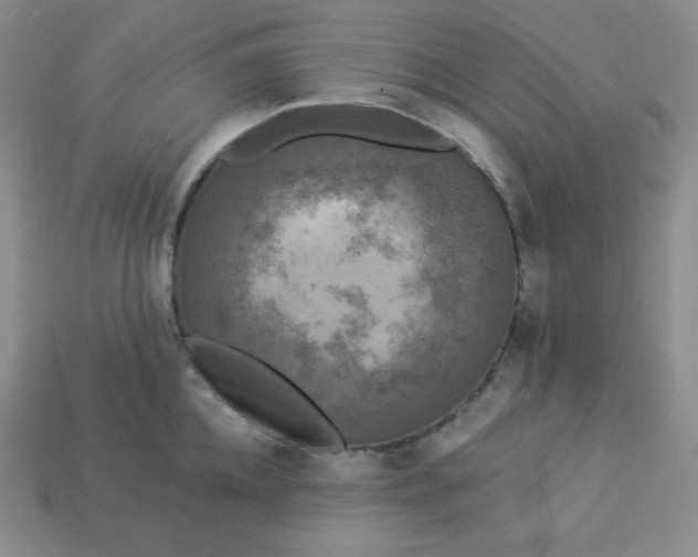 X0000113920952200910090933