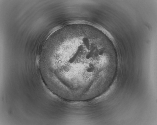 X0000113920953200910090933