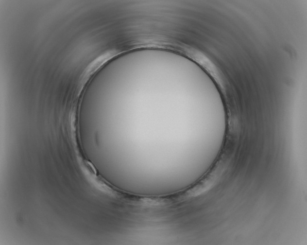X0000113920954200910090933