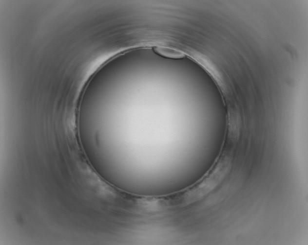 X0000113920956200910090933