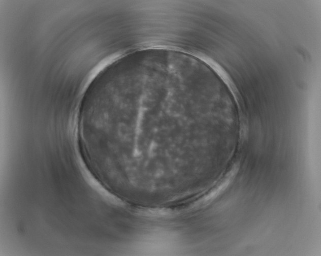 X0000113920957200910090933