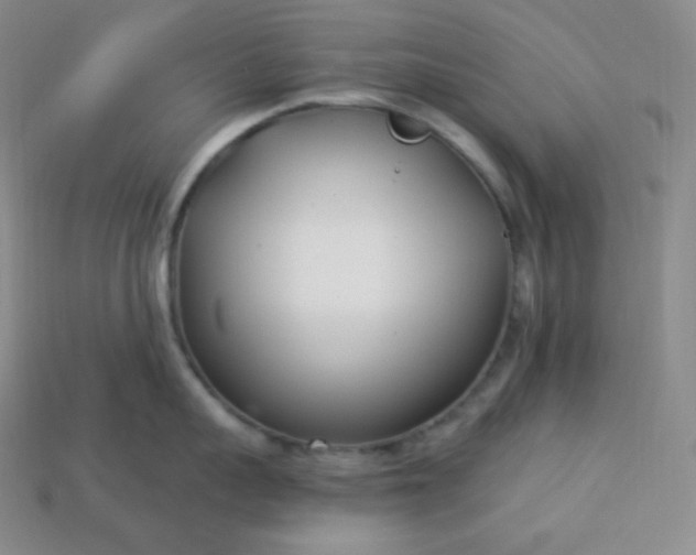 X0000113920959200910090933