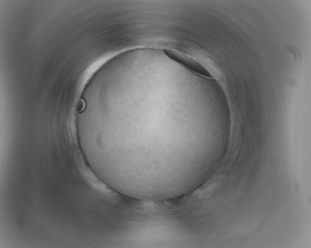 X0000113920960200910090933