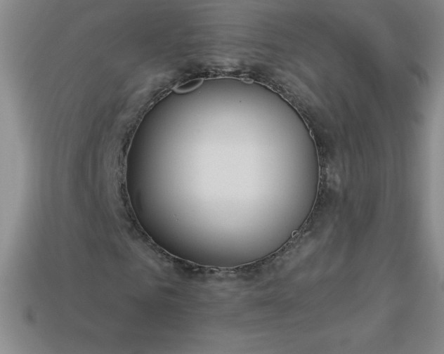 X0000113920961200910090933