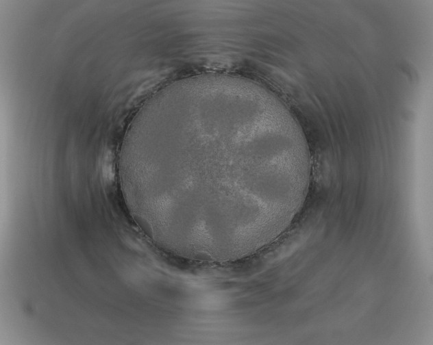 X0000113920962200910090933