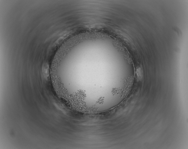 X0000113920963200910090933