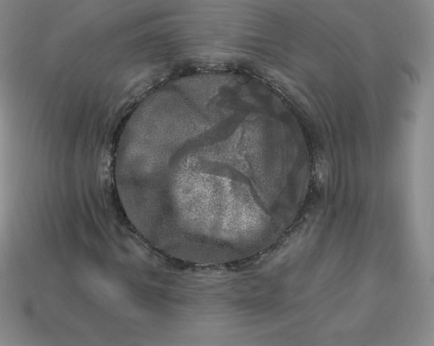 X0000113920964200910090933