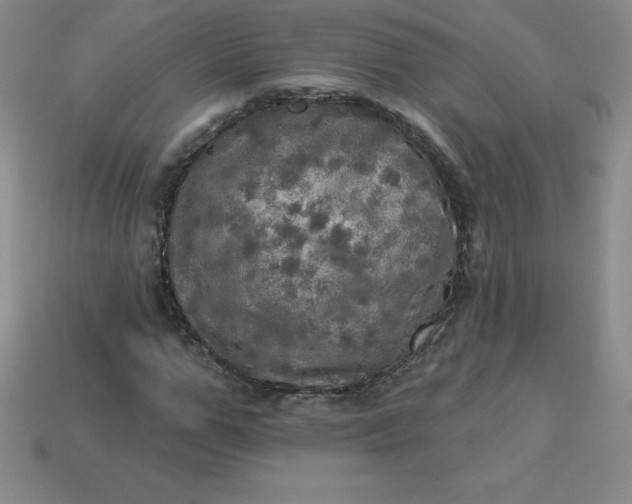X0000113920967200910090933