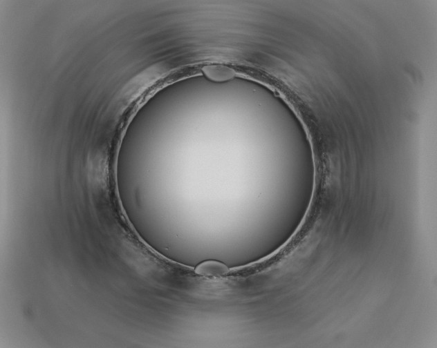 X0000113920969200910090933