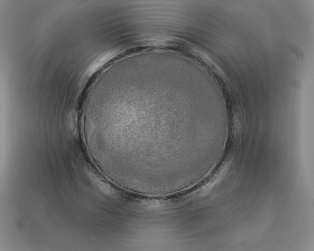 X0000113920970200910090933