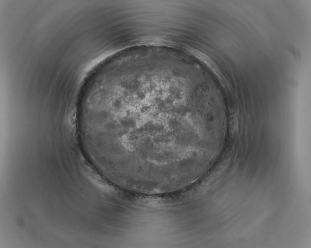 X0000113920971200910090933