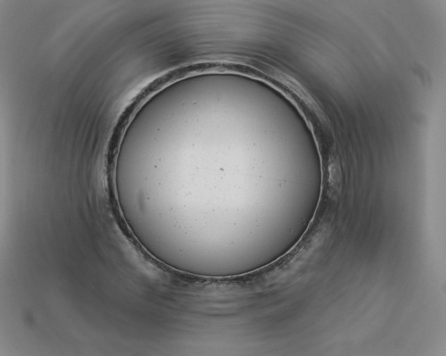 X0000113920972200910090933
