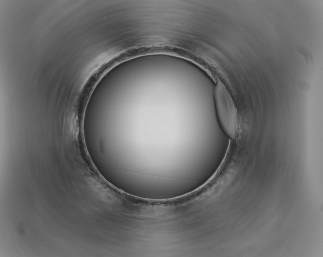 X0000113920973200910090933