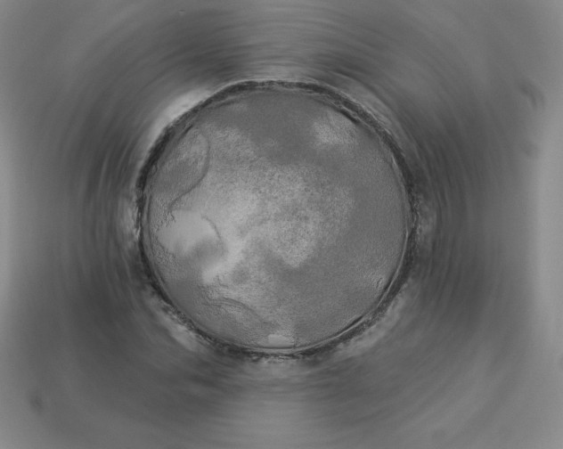 X0000113920974200910090933