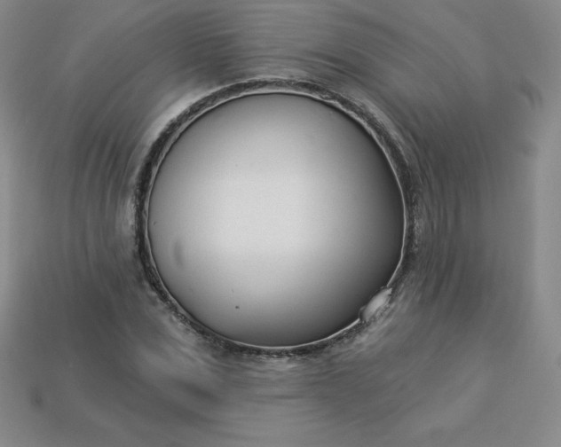 X0000113920975200910090933
