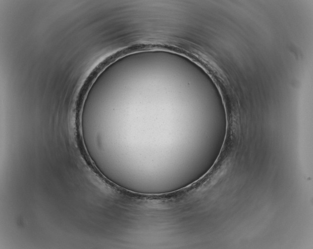X0000113920976200910090933