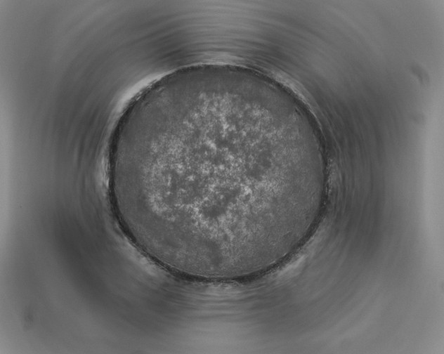 X0000113920979200910090933