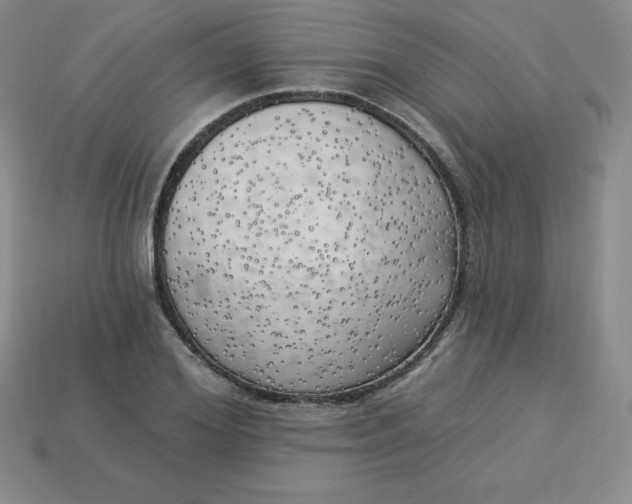 X0000113920980200910090932