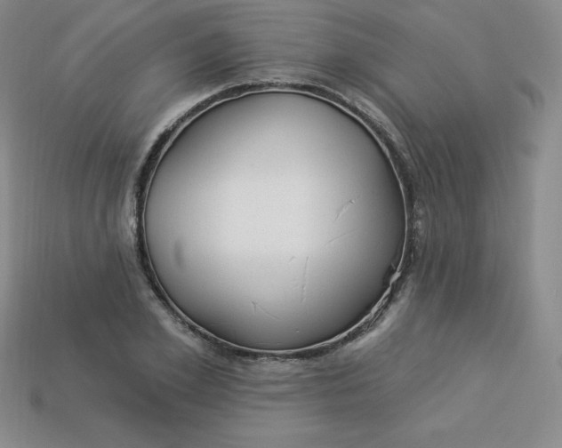 X0000113920981200910090932