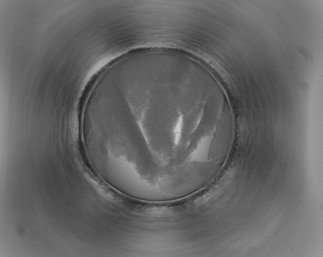 X0000113920982200910090932