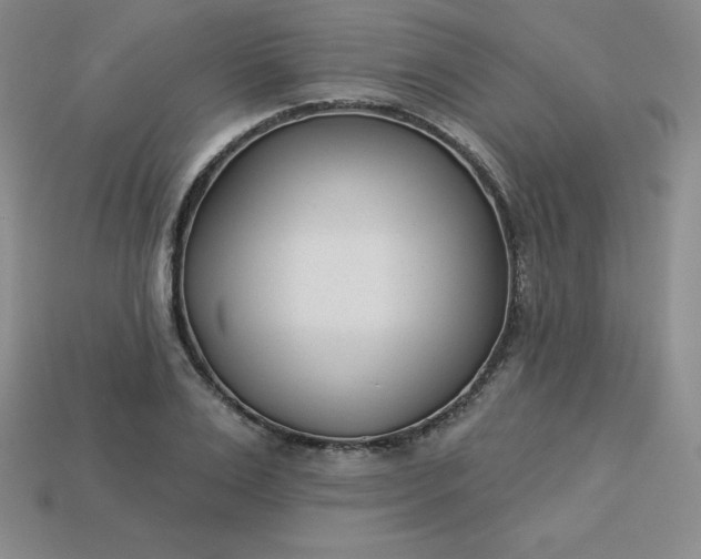 X0000113920983200910090932