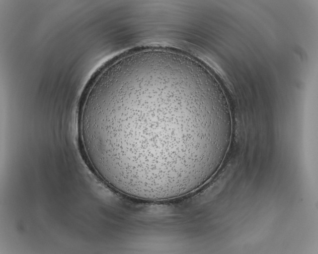 X0000113920984200910090932