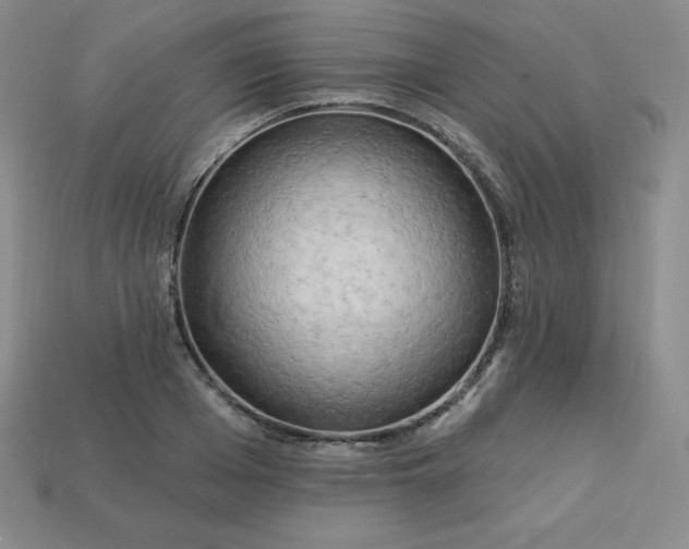 X0000113920985200910090932