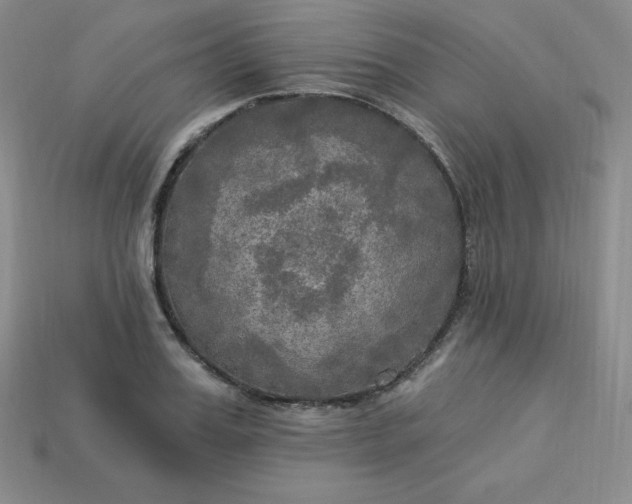 X0000113920987200910090932