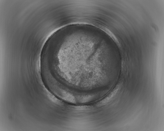 X0000113920988200910090932