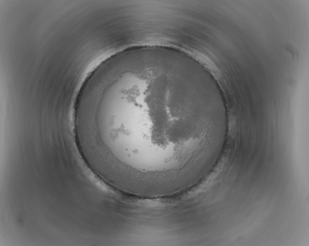 X0000113920990200910090932