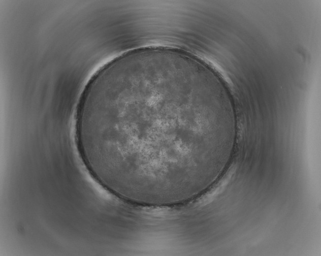 X0000113920991200910090932