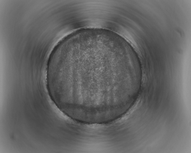X0000113920992200910090932