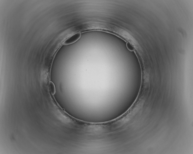 X0000113920993200910090932
