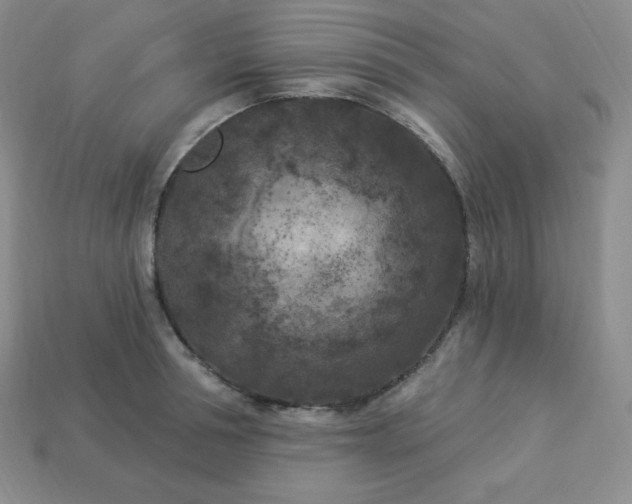 X0000113920994200910090932