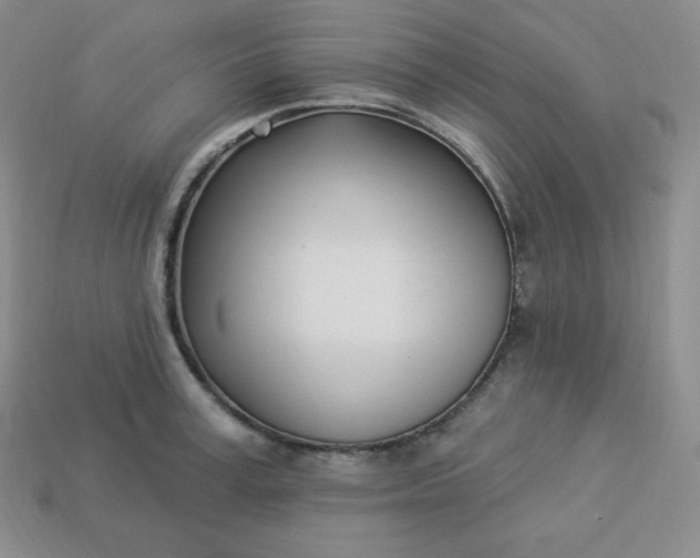 X0000113920995200910090932