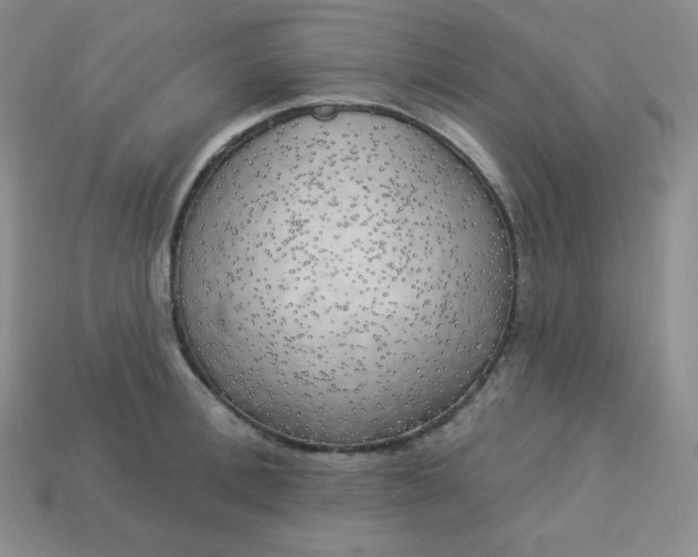 X0000113920996200910090932
