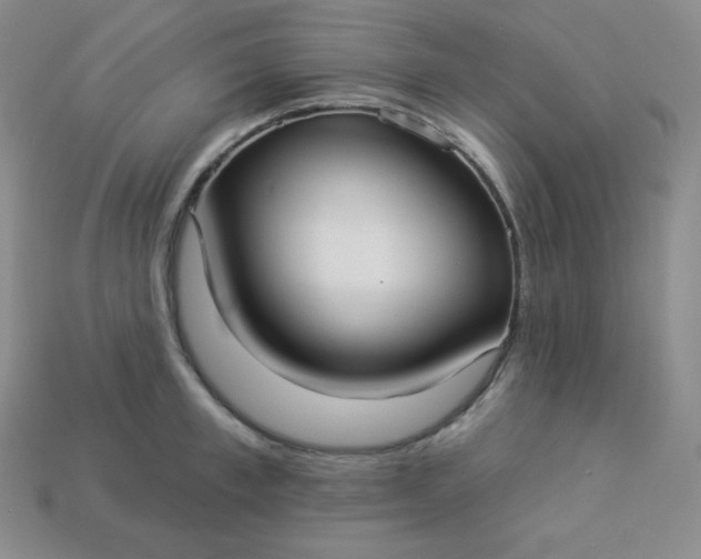 X0000113920997200910090932