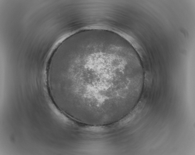 X0000113920998200910090932