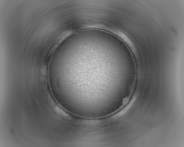 X0000113921001200910090932