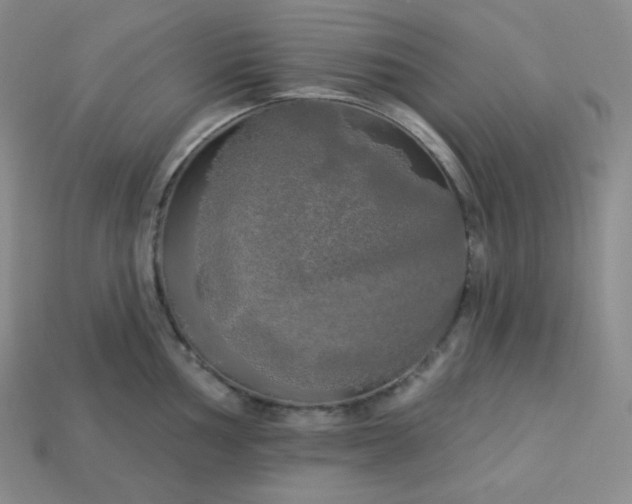 X0000113921002200910090932