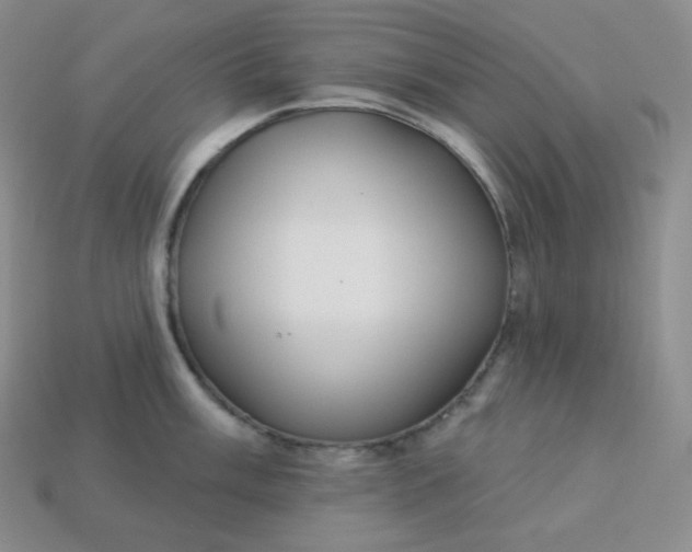 X0000113921003200910090932