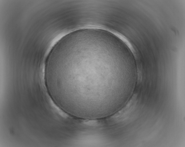 X0000113921006200910090932